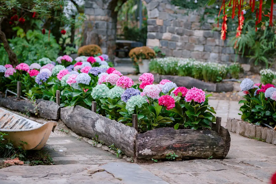 Système d'arrosage intégré installé dans un jardin